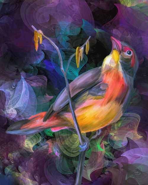 backdrop colorful bird