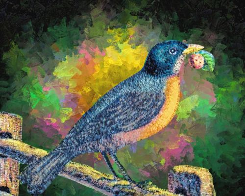 backdrop colorful bird