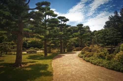 background japanese garden away