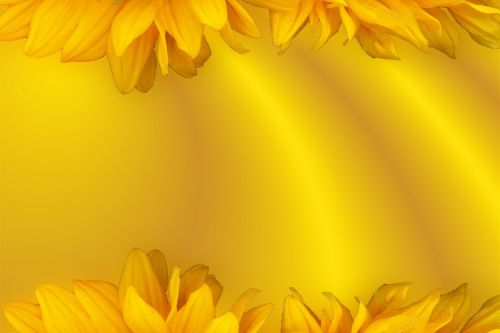 background yellow floral