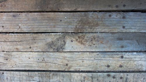 background texture wood