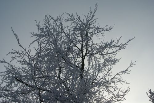 background snow freezing