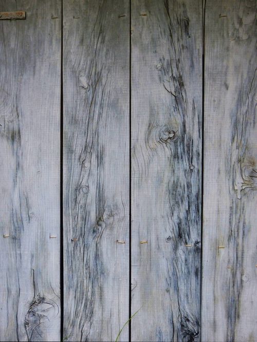 background wood texture door