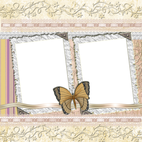 background butterfly frame