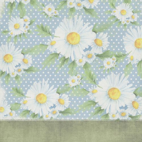background daisies green