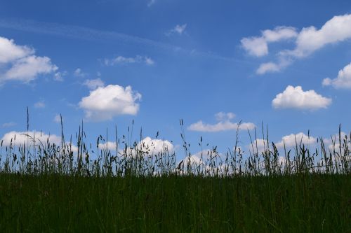 background horizon sky