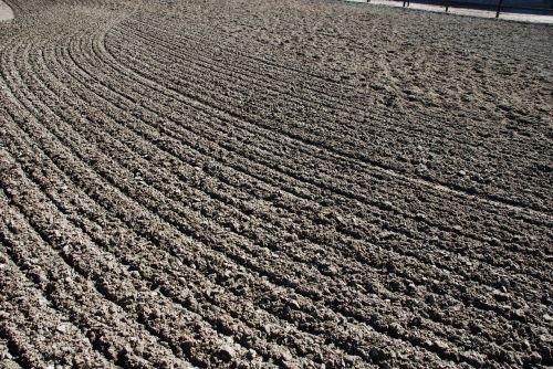 background texture sand