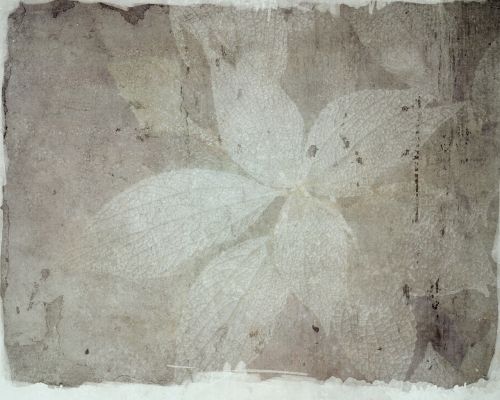 background texture leaves