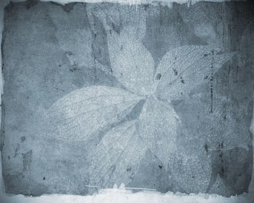 background texture leaves