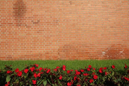 background wall meadow