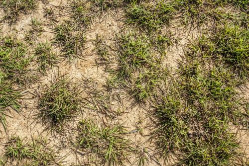 background grass green