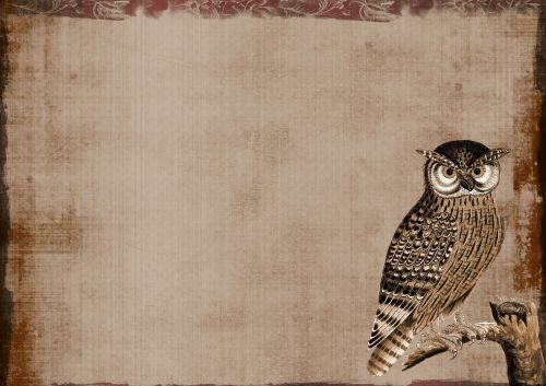 background owl collage