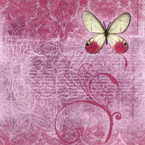 background rose butterfly