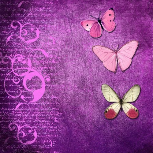 background butterfly purple