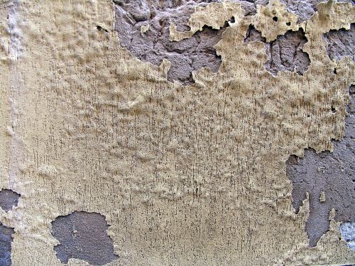 background wall plaster
