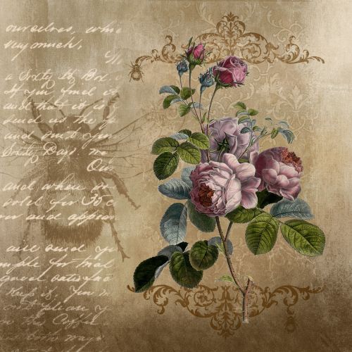 background roses paper