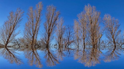 background mirror reflection