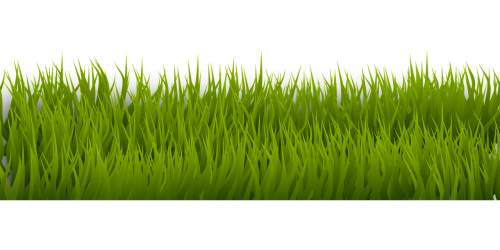 background border grass