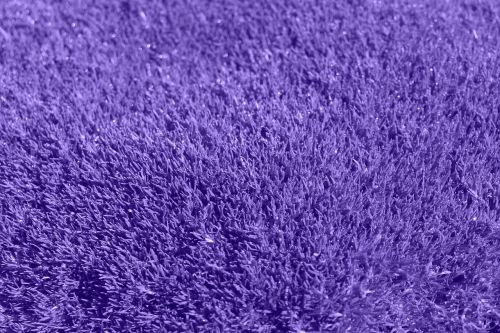 background purple grass