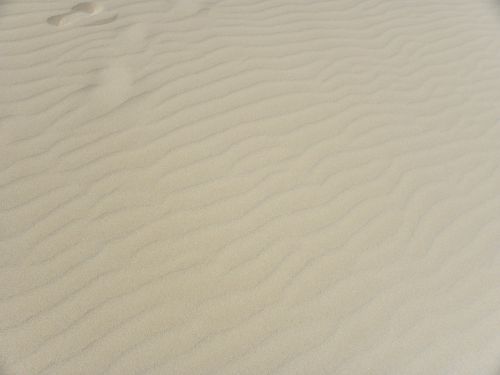 background texture sand