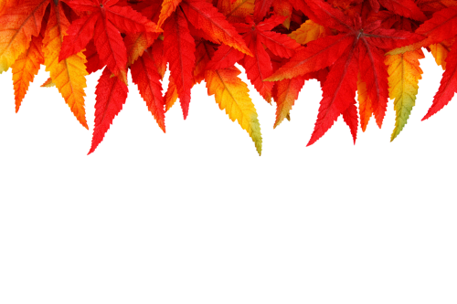 background autumn leaves