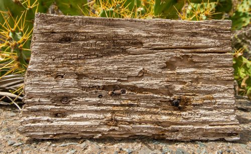 background wood structure