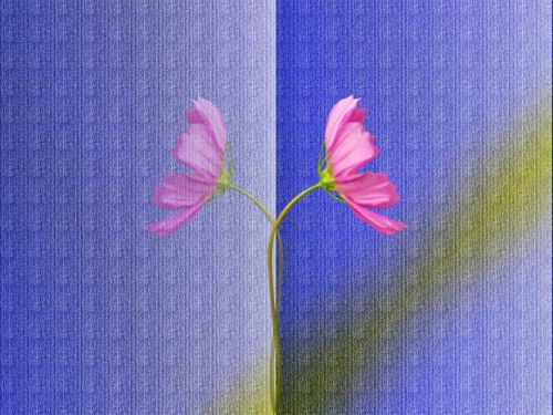 background flower pattern