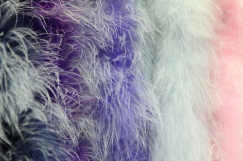 background boa feathers