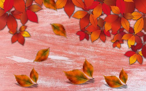 background texture background autumn