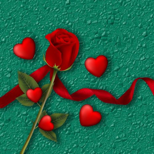 background texture red rose