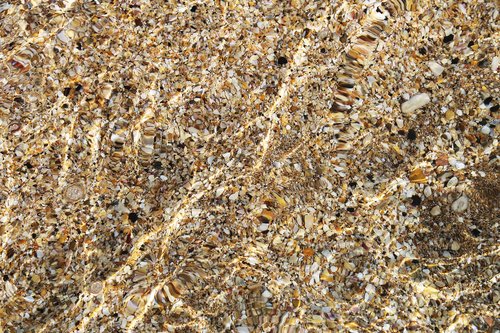 background  water  coquina