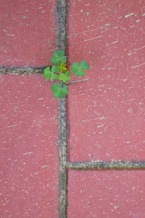 background  old  brick