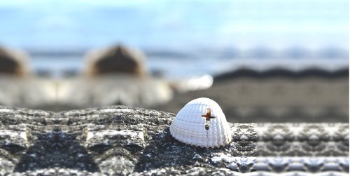 background  cross  seashell
