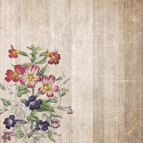 background  boards  flowers