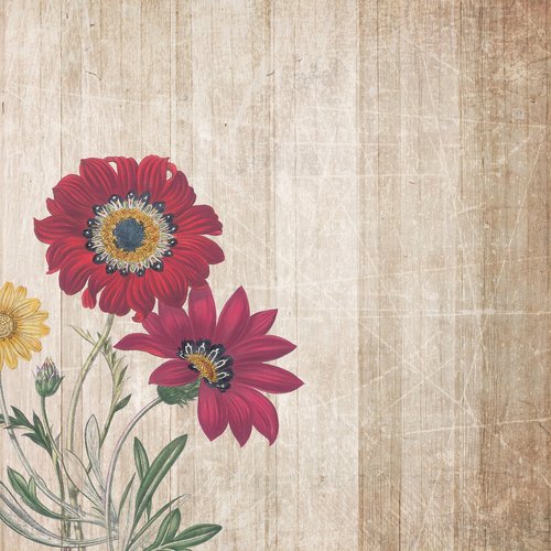 background  boards  flowers