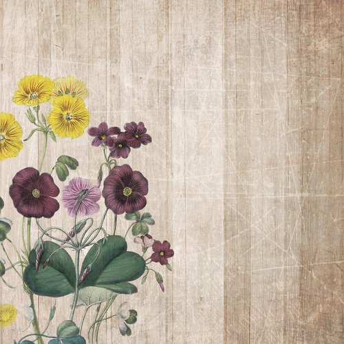 background  boards  flowers