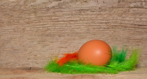 background wood egg