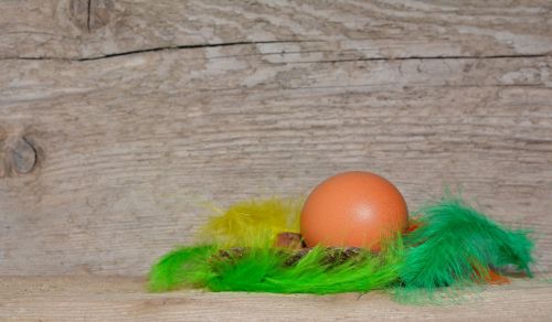 background egg feather