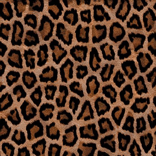background leopard animal