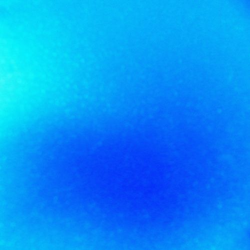 Blue Background 2016 (22)