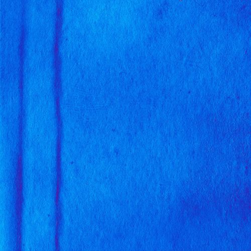 Blue Background 2016 (27)