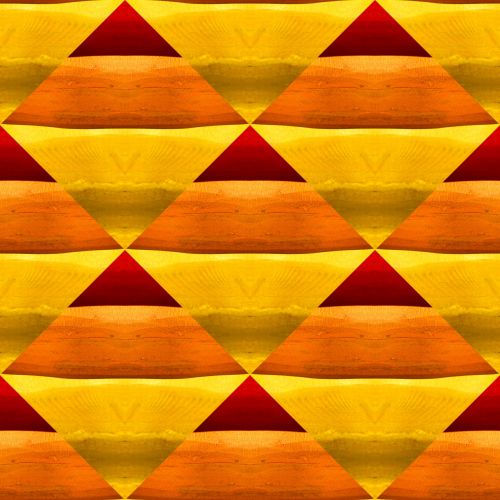 Colorful Wooden Background (10)