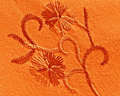 Background Of Embroidered Fabric (2)