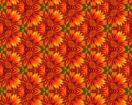 Background Fractal Flowers