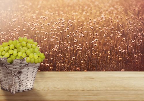 background image basket grapes