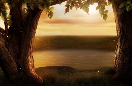 background image  fantasy  trees