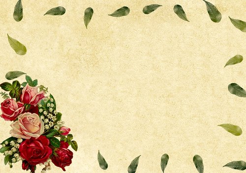 background image  bouquet  roses