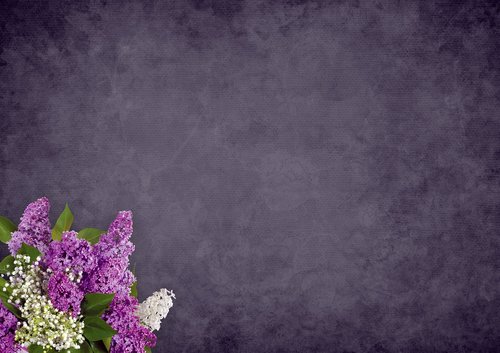background image  flowers  pattern