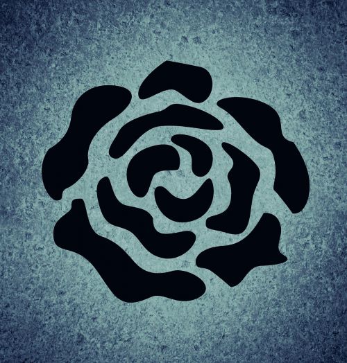 background image rose flower