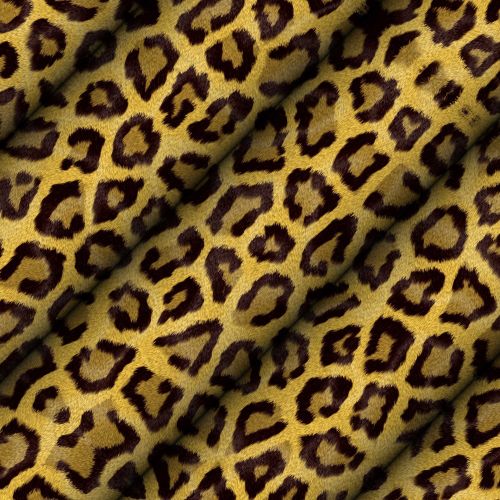 Leopard Background # 3